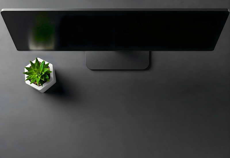 Portfolio project preview